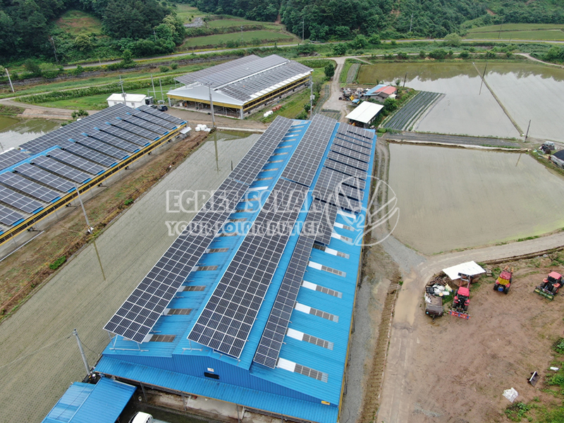 تحليل سوق الطاقة الشمسية في كوريا الجنوبية